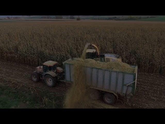 Kukurydza 2017 - Silage in Bartków Nowy!