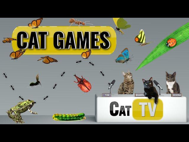 CAT Games | Ultimate Cat TV Bugs and Butterflies Compilation Vol 5 🪲  | Videos For Cats to Watch