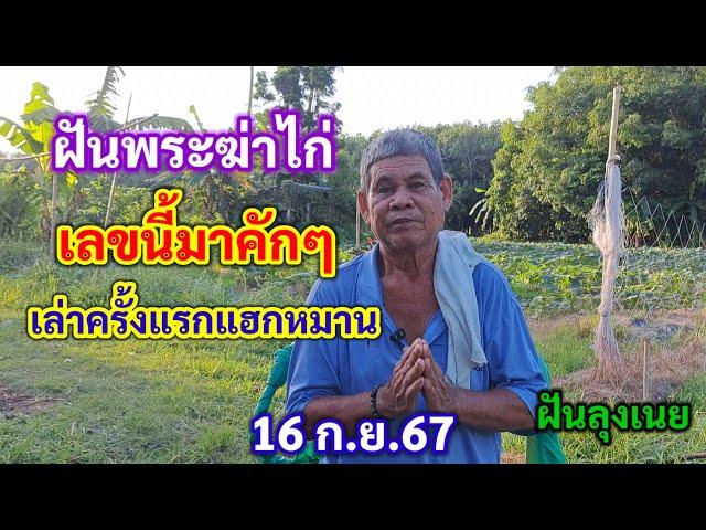 ฝันพระฆ่าไก่ เลขนี้มาคักๆ เล่าฝันครั้งแรกแฮกหมาน 16 ก.ย.67