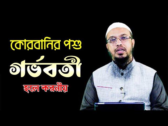 কোরবানির পশুর পেটে বাচ্চা থাকলে তা করনীয় কী | গর্ভবতী পশু দিয়ে কোরবানি জায়েজ হবে কি