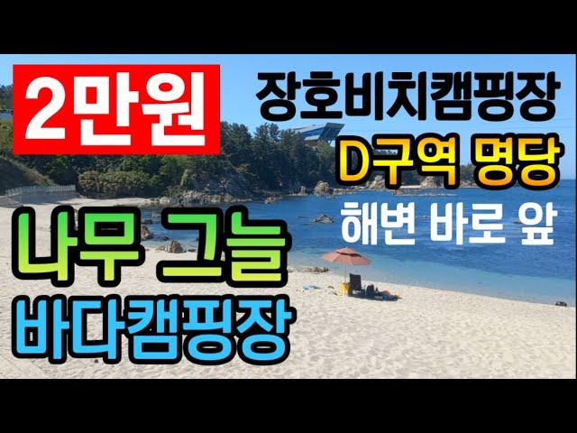 초특가!! 2만원대 그늘 있는 바다캠핑장ㅣ여름캠핑 오션뷰 장호비치캠핑장 D구역 사이트 추천 명당ㅣ저렴한 여름휴가지 가성비 숙박 ㅣ강원도 해수욕장, 장호항,바다낚시,스노클링,차박