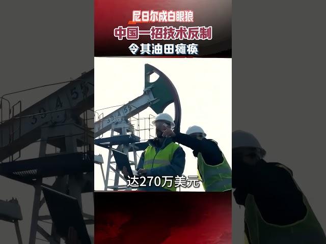 尼日成白眼狼，中國一招技術反制，令其油田癱瘓吃不了兜著走 #真實事件 #尼日 #油田 #歷史