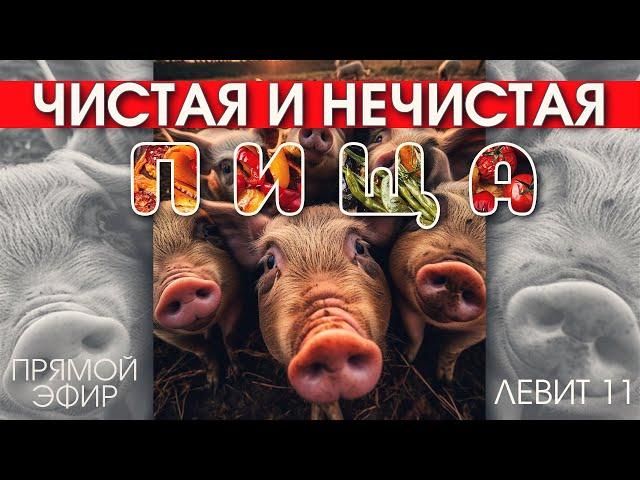 Чистая и нечистая пища в Библии // Прямой эфир