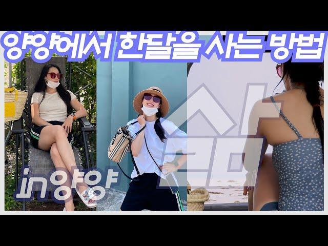 [Vlog]양양에서 한달을 산다면? 여유로움을 즐기는 양양 한달살기 브이로그