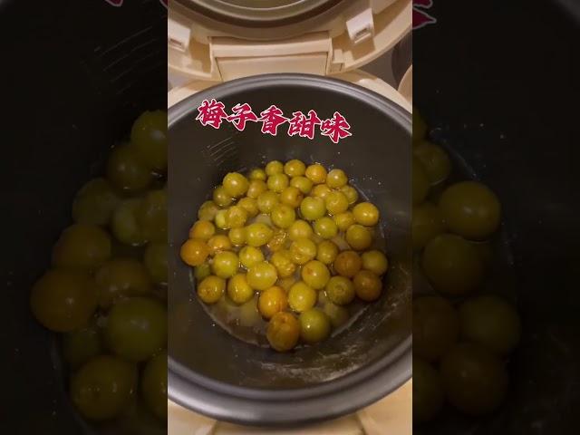 青梅露電子鍋版本實做