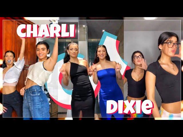 Charli and Dixie D’Amelio TikTok Compilation #2