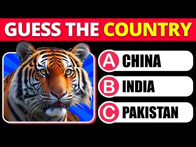 Guess The COUNTRY by The National Animal 