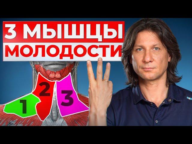 3 мышцы ДОЛГОЛЕТИЯ! / Как остановить старение и ВСЕГДА быть здоровым?