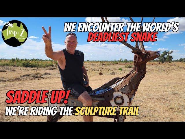 We cross paths with THE WORLDS DEADLIEST SNAKE! | The Lake Dunn Sculpture Trail | ARAMAC -  Ep 49