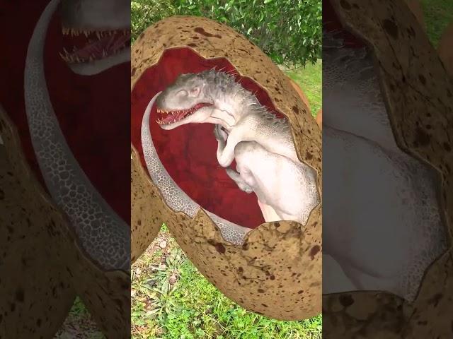 Dinosaur Egg Break | Dinosaurs Attack Lady #dinosaur