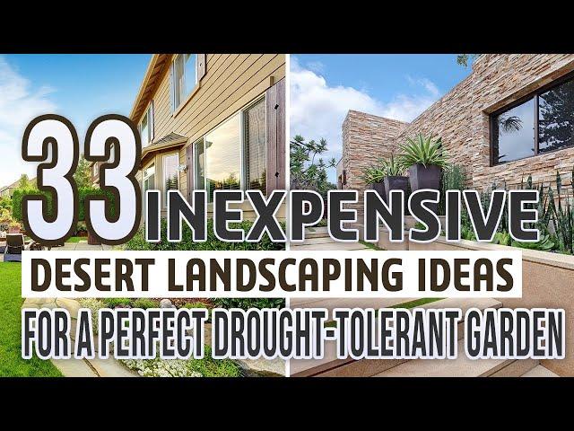 33 Inexpensive Desert Landscaping Ideas For a Perfect Drought-Tolerant Garden