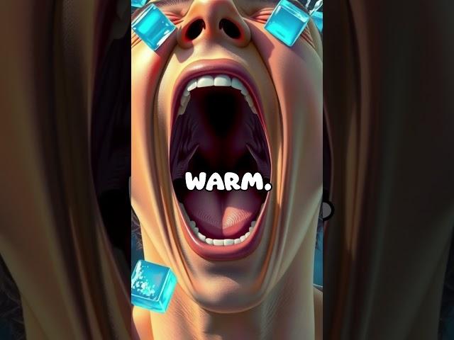 Yawning and Brain Cooling