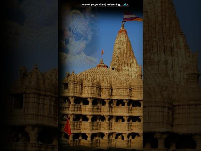 everything.#krishna #radheshyam #krishnabhajan #bhakti  #love #radheradhe #ytshorts #shyam