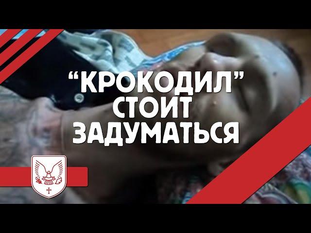 Крокодил. Стоит задуматься