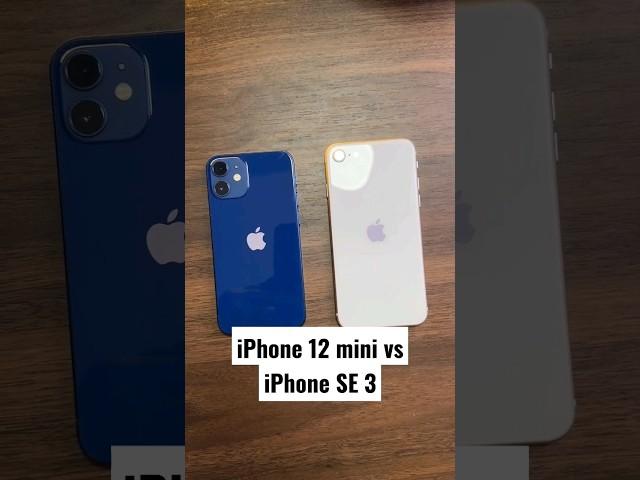 iPhone 12 mini vs iPhone SE 2022 Camera Comparison! #shorts #iphone