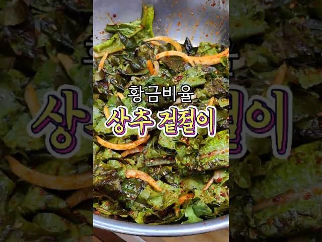 학교에서 배운 황금비율 '상추겉절이' 레시피! #shorts #집밥 #레시피
