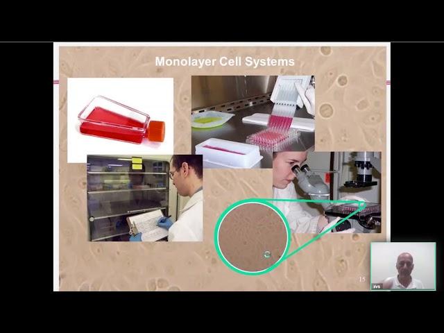 Introduction to Non-whole Animal Test Methods