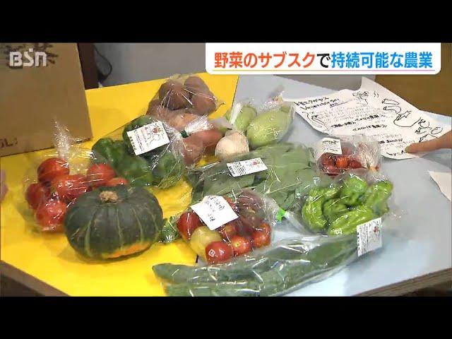 “野菜のサブスク”で「世界一おいしいごはんを食べられる新潟をつくる」 農家と消費者がともに“未来の農業”を目指して