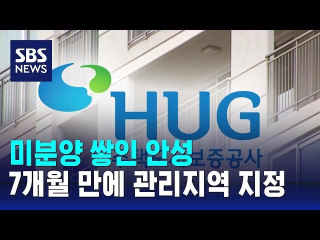 미분양 쌓인 안성…수도권 7개월 만에 관리지역 지정 / SBS