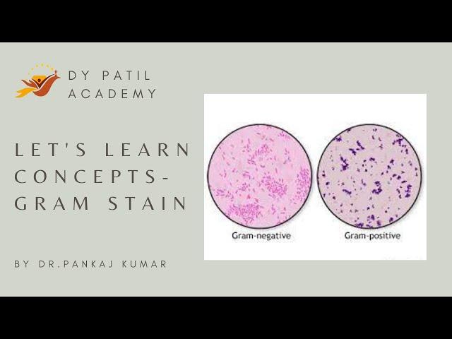 Let's Learn Concept - Gram Stain