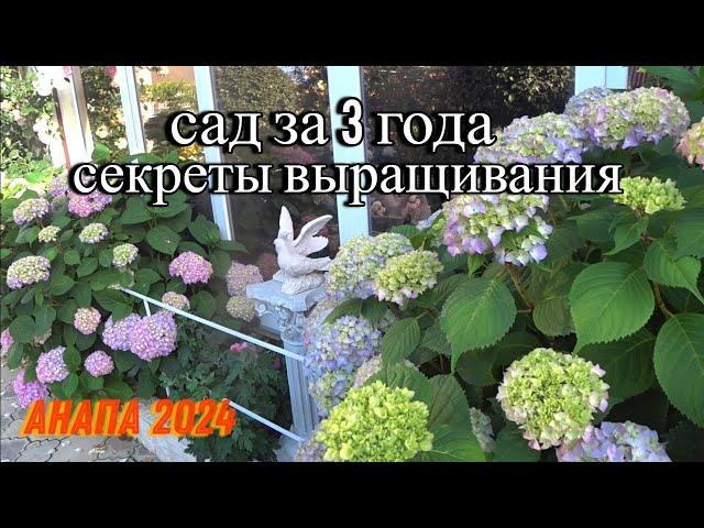 Вечерние встречи. Сад во французском стиле под Анапой