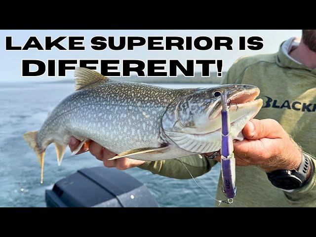 10 Lake Superior Fishing Tips Every Angler Needs to Know!