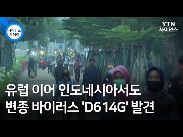 유럽 이어 인도네시아서도 변종 바이러스 'D614G' 발견...전염력 강하지만 치명률 낮아 / YTN 사이언스