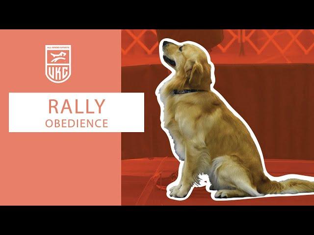 Learn Rally Master Exercises l UKC Rally Obedience