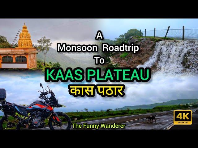 A Monsoon Solo Roadtrip to Stunning Kass Plateau | Must Watch!