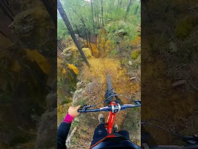 Sick MTB Line 