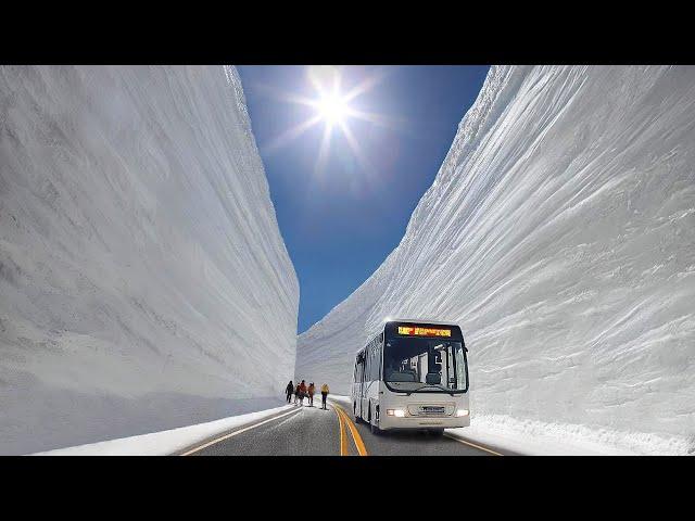 Tateyama Snow Corridor - 65 Feet High Snow Walls