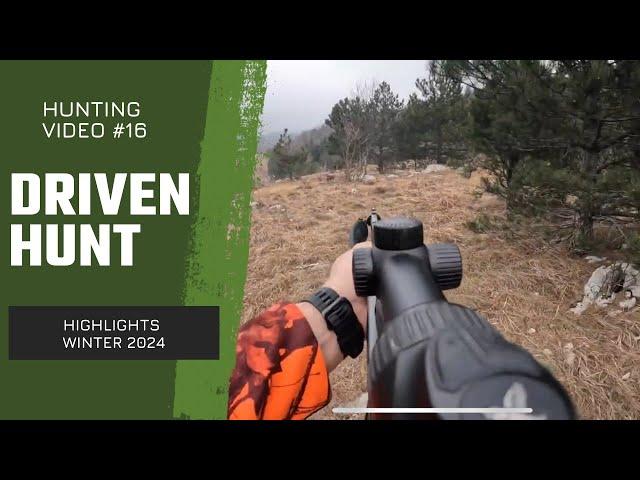 Driven hunt highlights - winter 2024 (Drückjagd, Chasse en battue)