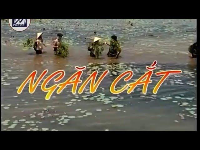 Phim truyện NGĂN CẮT