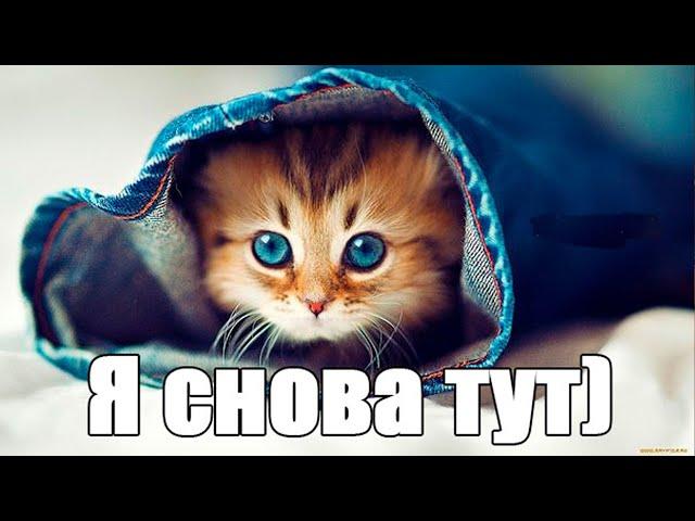 Я СНОВА ТУТ! СТРИМ: 28 мая 2025 в 22:00 мск