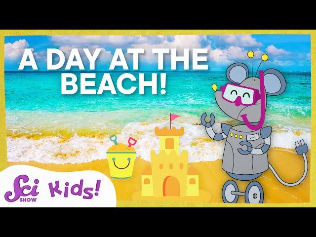 Science at the Beach! | SciShow Kids Compilation