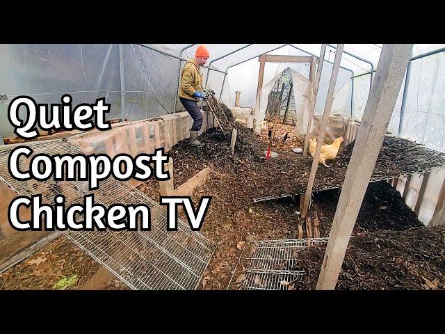 Chicken TV - Happy Thanksgiving!