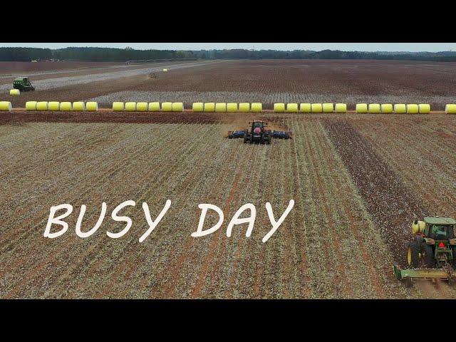 What a BUSY day on the COTTON farm!