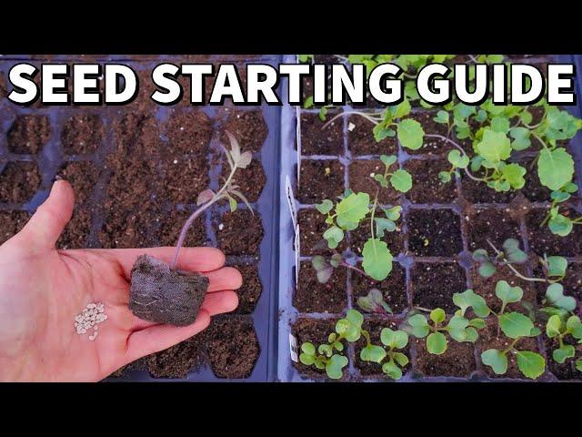 The Ultimate Beginner's Guide To STARTING SEEDS Indoors