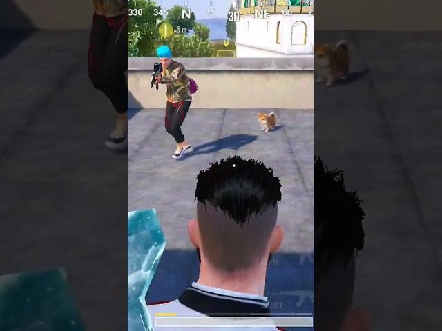 الخواجه شخروم ببجي هتموت من الضحك ️