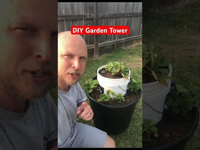 DIY GARDEN TOWER - Cheap Vertical Garden Setup - Growing Strawberries