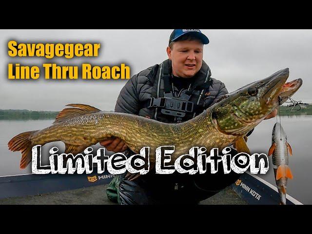 The best just got better - Savagegear Line Thru Roach