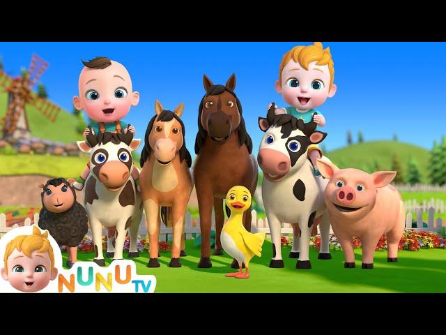 Moo Moo  Oink Oink !  Animal Sound Song | Nursery Rhymes & Kids Songs | NuNu Tv