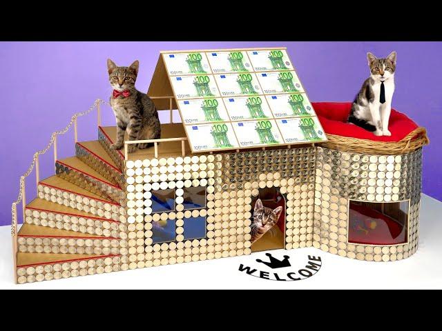 SQUID GAME House for Homeless Cats