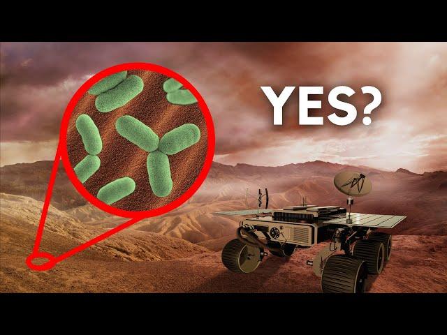 Have We Already Found Life On Mars?