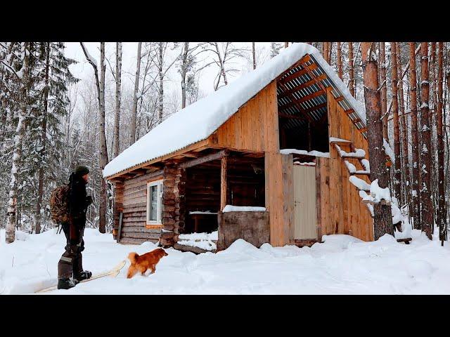 2 SOLO BUSHCRAFT TRIP - HUNTERS' HUT, MOOSE, RED DOG