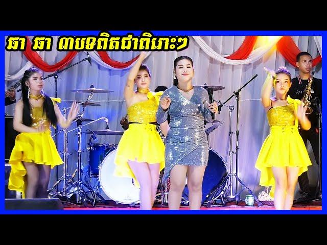 Cha Cha | Dance Version​ Orkadong new song 2021 Cover by Sey Hasaran Band