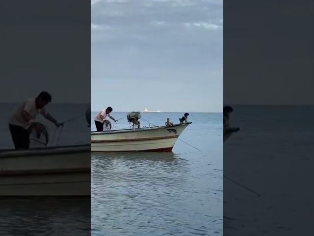漁船を撮影していると...