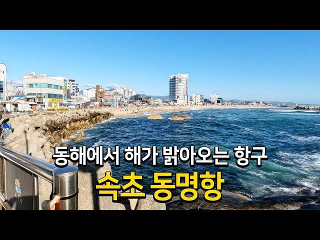 동해에서 해가 밝아오는 항구 속초 동명항의 모든 것