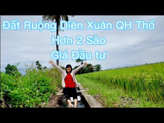 Đất ruộng Diên Xuân- Diên Khánh giá rẻ