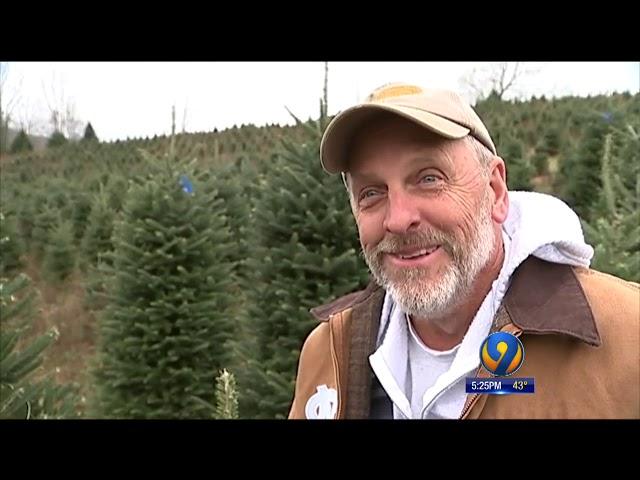 'Like A Cinderella Story' White House Christmas Tree Cut From Avery County Farm